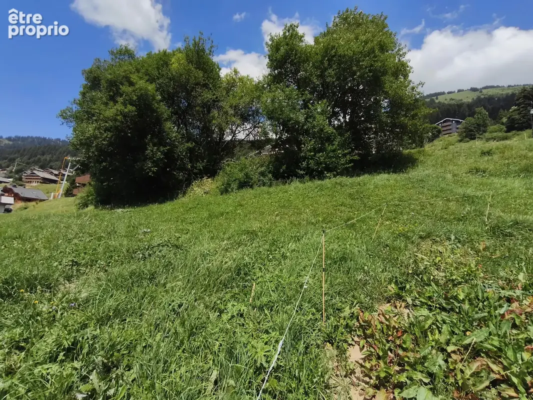 Terrain à CHATEL