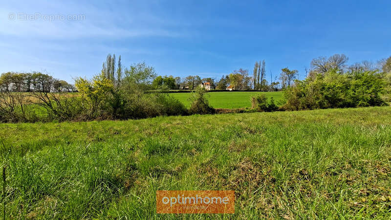 Terrain à SAUVETERRE-DE-BEARN