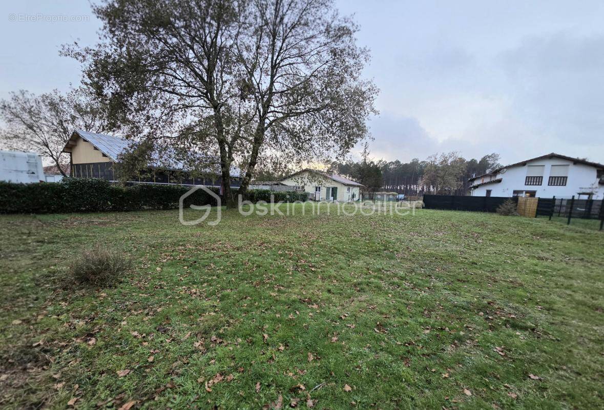 Terrain à VIELLE-SAINT-GIRONS