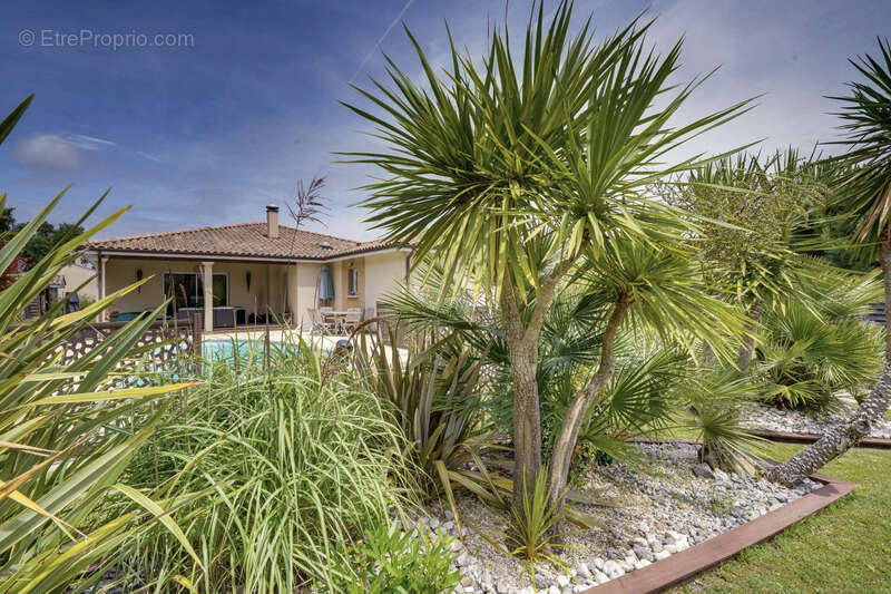 Maison à LE HAILLAN