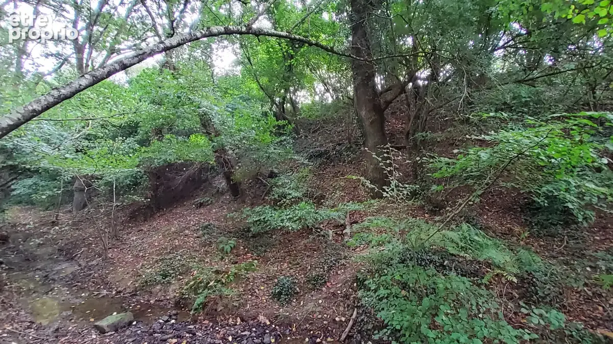 A VENDRE - Terrain de loisirs boisé 3650 m2 à POLIGNE - photo 5