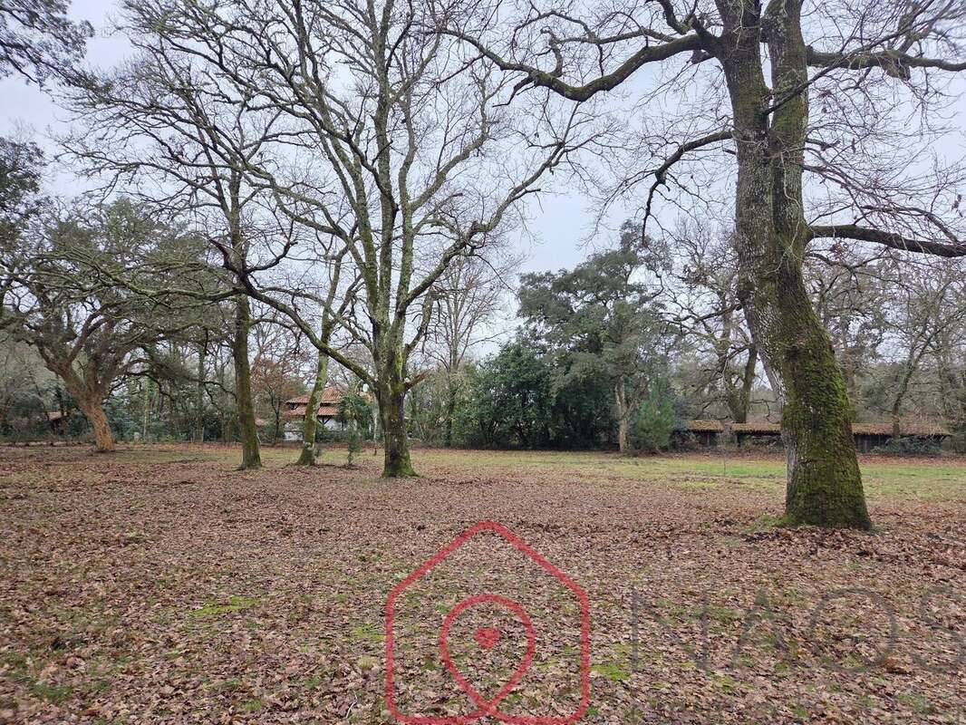 Maison à SAINT-PAUL-EN-BORN