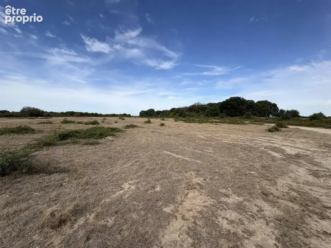 Terrain agricole - photo 4