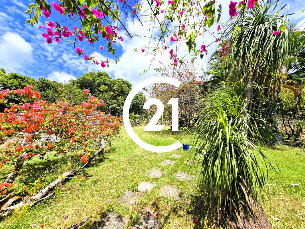 Maison à SAINTE-ANNE