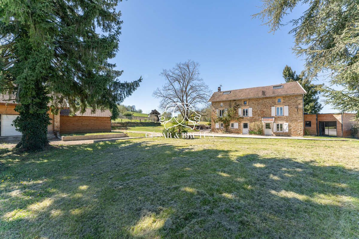 Maison 214 m² à Chozeau  - photo 3