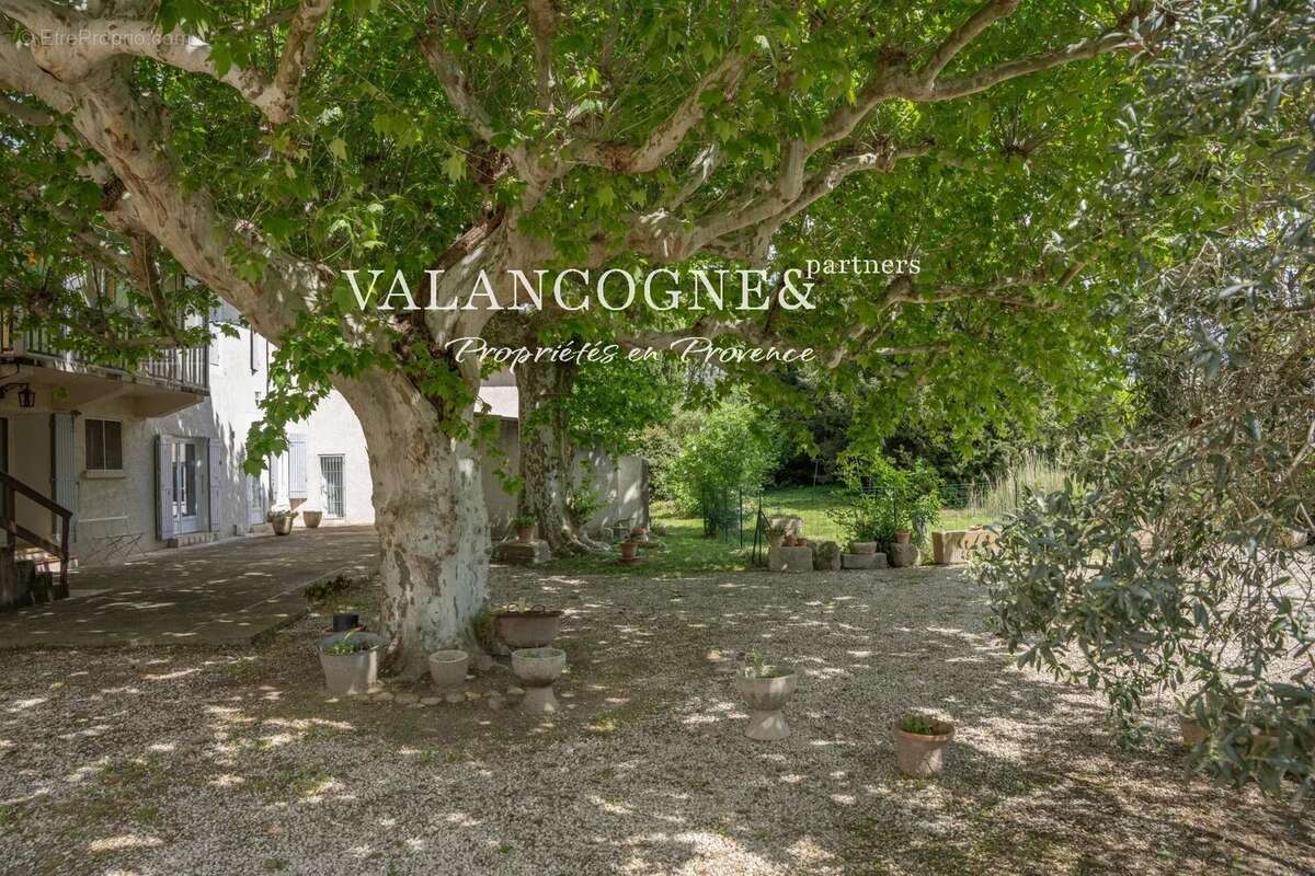 Mas ancien proche Alpilles - photo 7