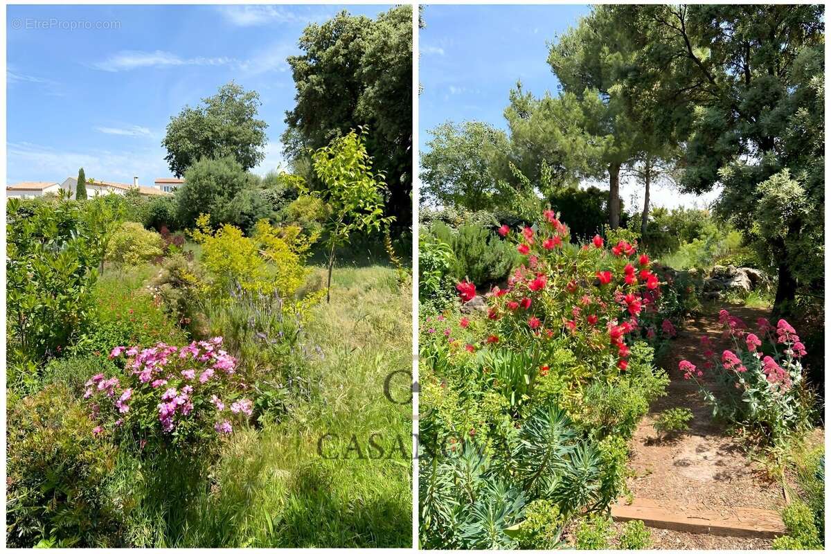 Maison à SAINT-GELY-DU-FESC