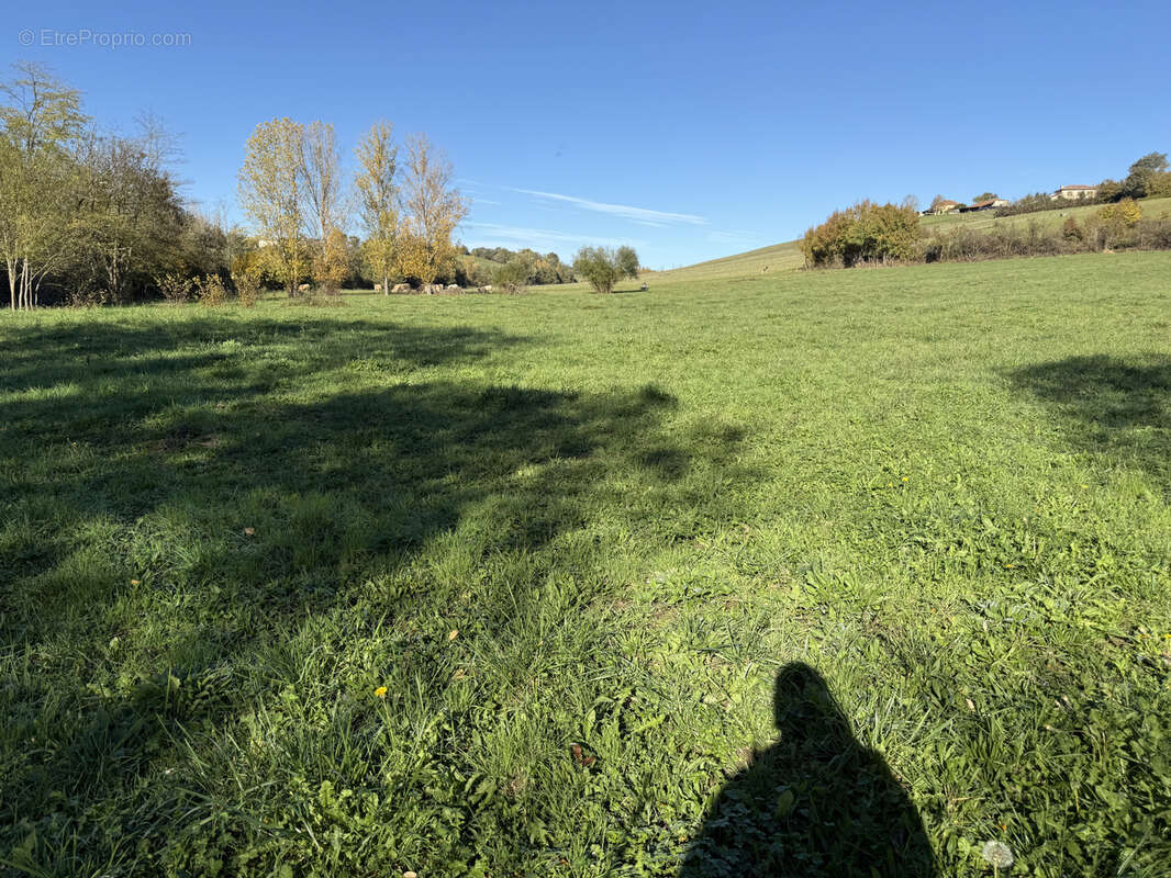 Terrain à AURIGNAC