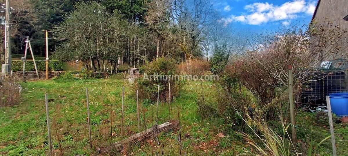 Maison à LES MARTYS