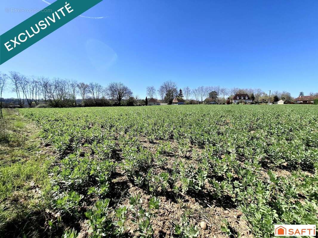 Photo 5 - Terrain à NAVARRENX