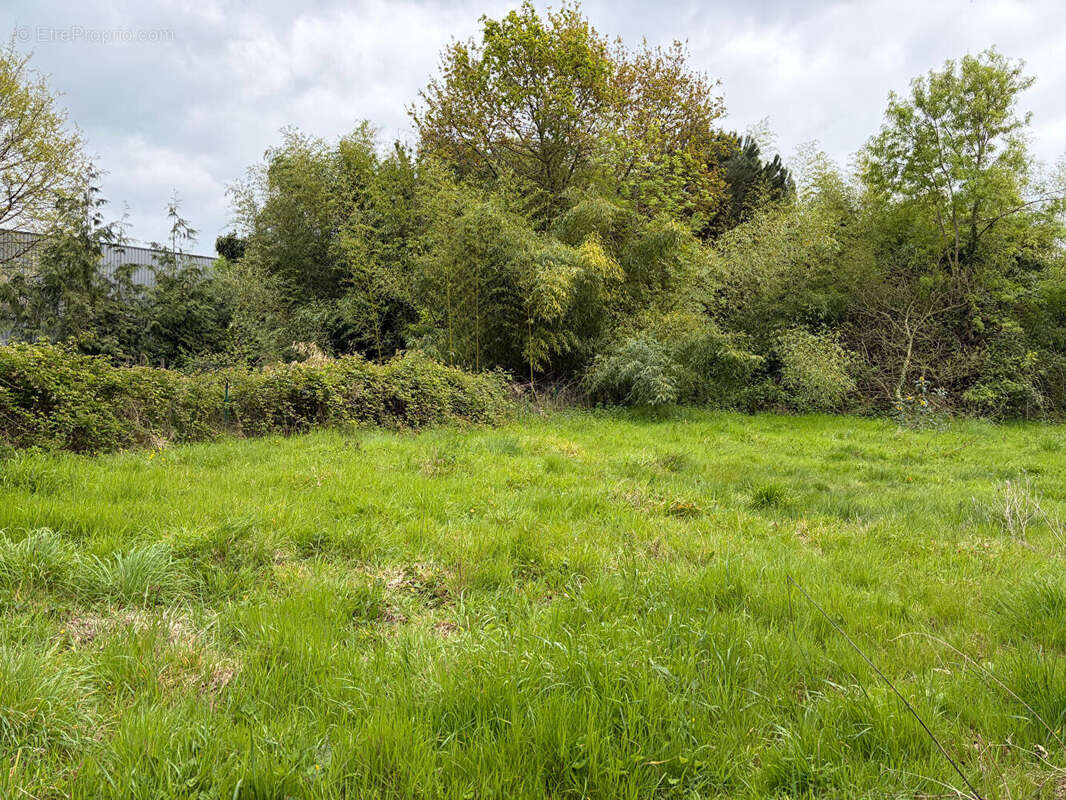 Terrain à ROCHEFORT