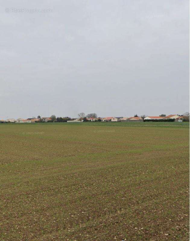 Terrain à VILLEDOUX