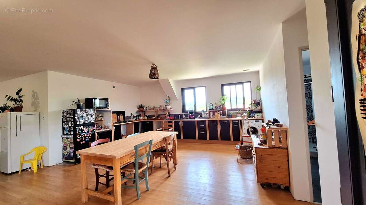 appartement kicthen 1/ cusisine appartement