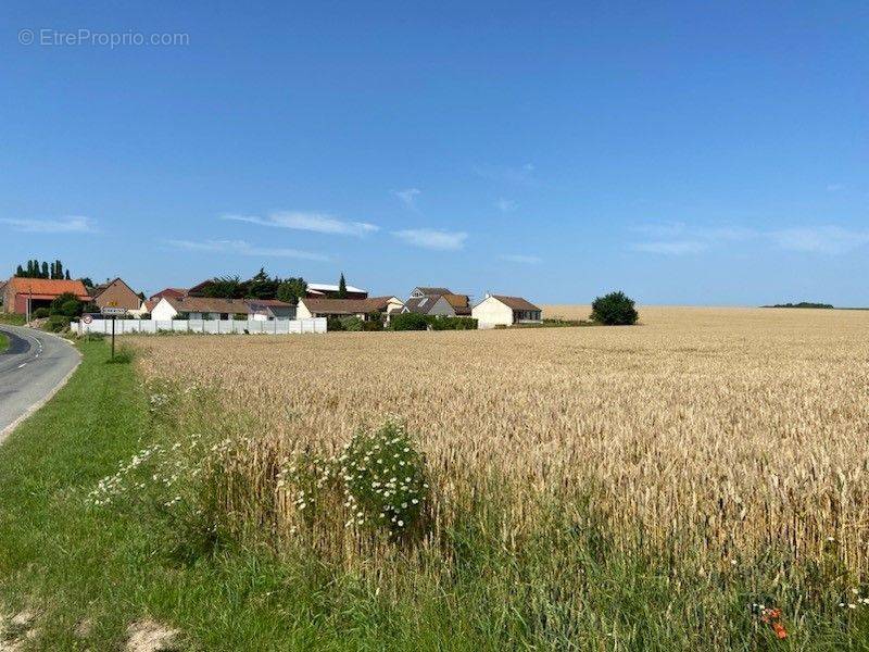 Terrain à VIS-EN-ARTOIS