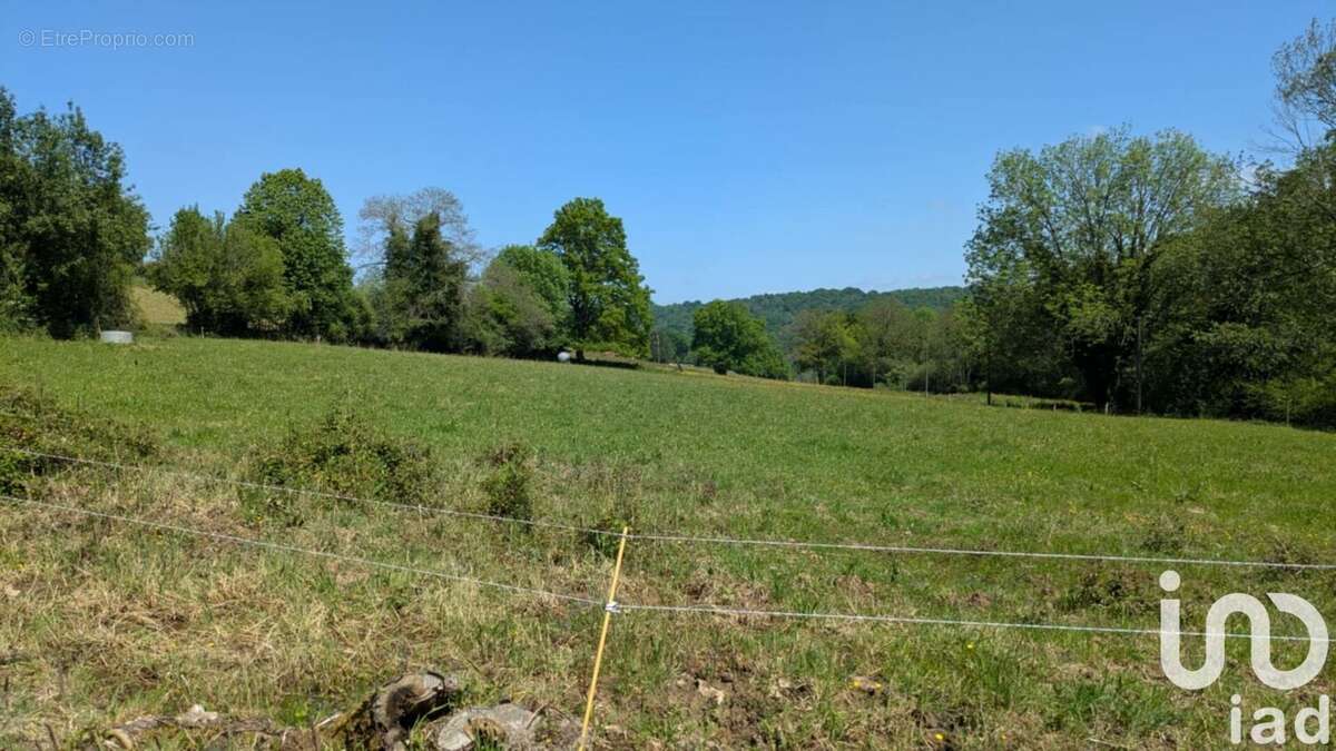 Photo 6 - Maison à TOURNAY