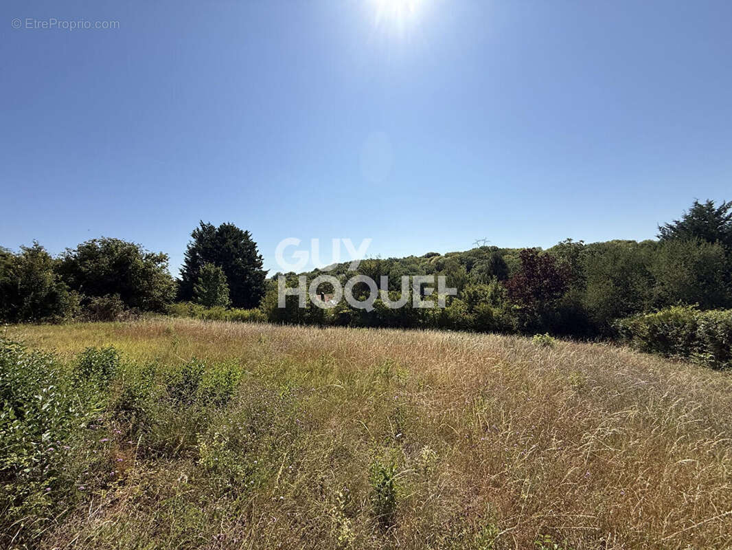 Terrain Goussonville 1234 m2 - photo 2