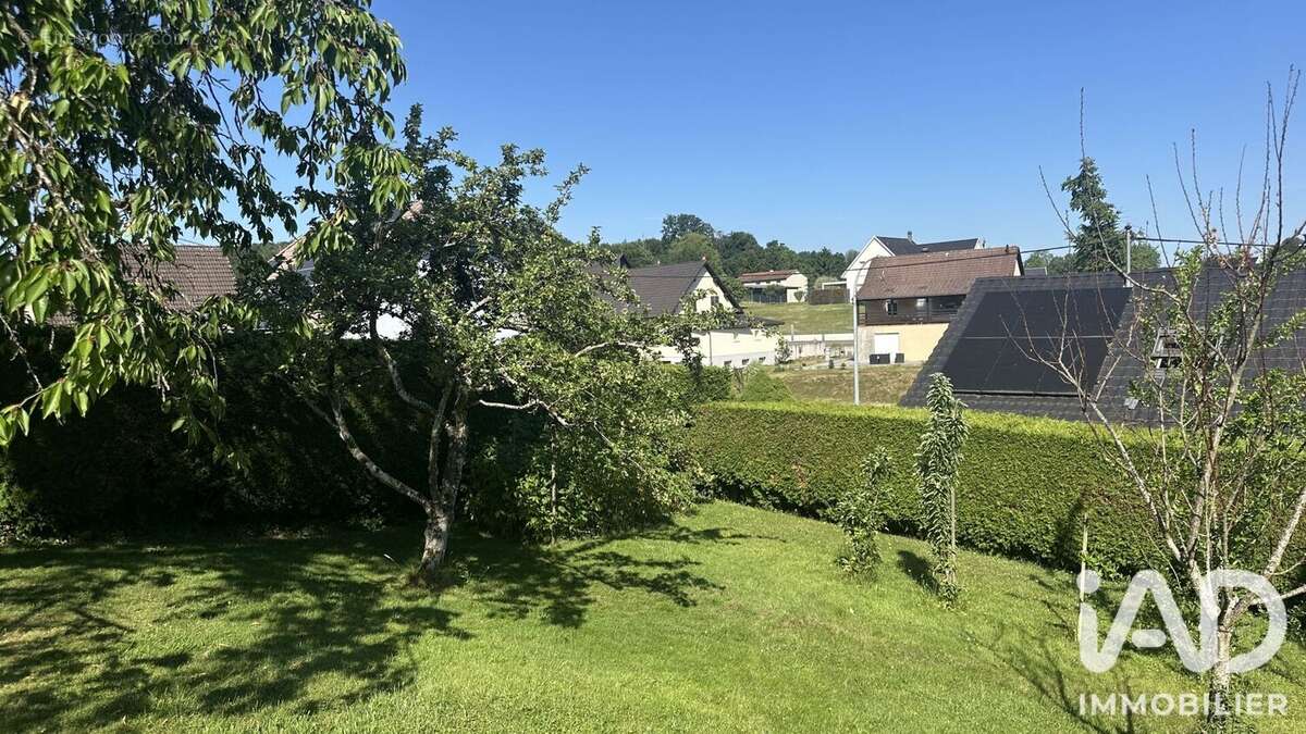 Photo 6 - Maison à PFETTERHOUSE