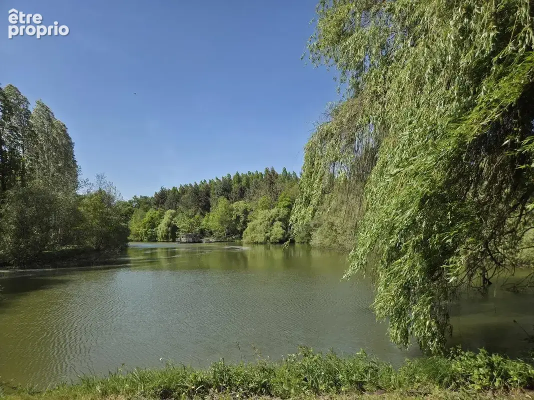 Terrain 31 445 m² à vendre à Loigne-Sur-Mayenne (53200) - photo 5