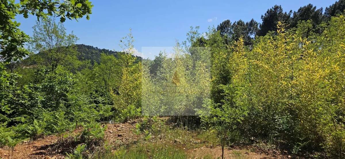 Terrain à SAINTE-CECILE-D&#039;ANDORGE