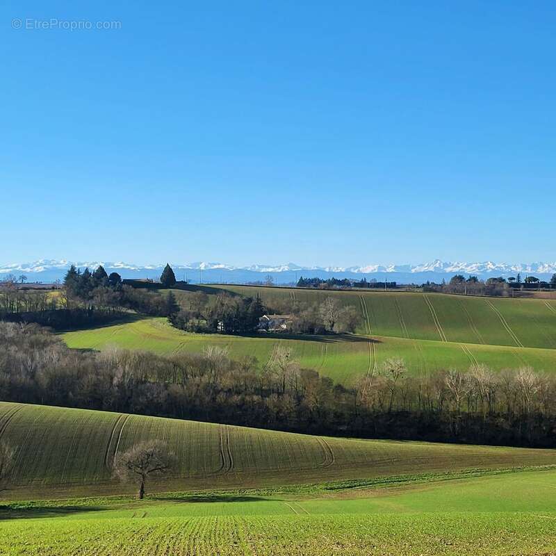 Terrain à VILLEFRANCHE-DE-LAURAGAIS