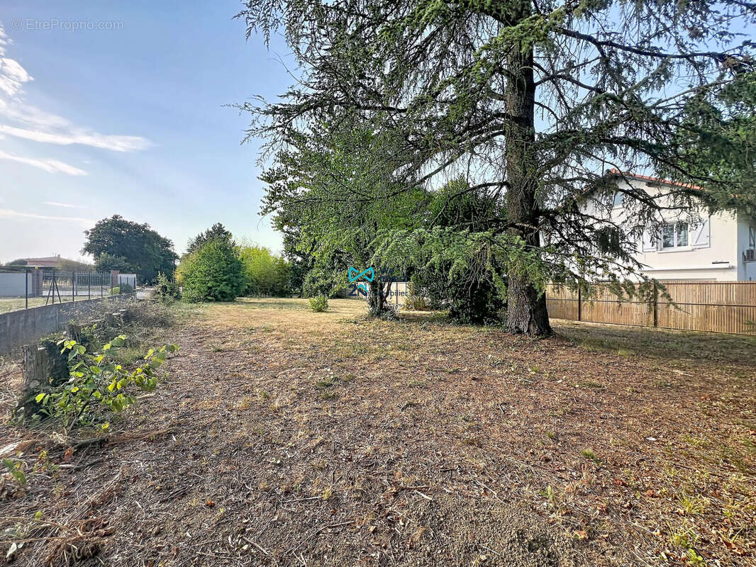 Terrain 747 m² à vendre à Castelmaurou (31180) - photo 3