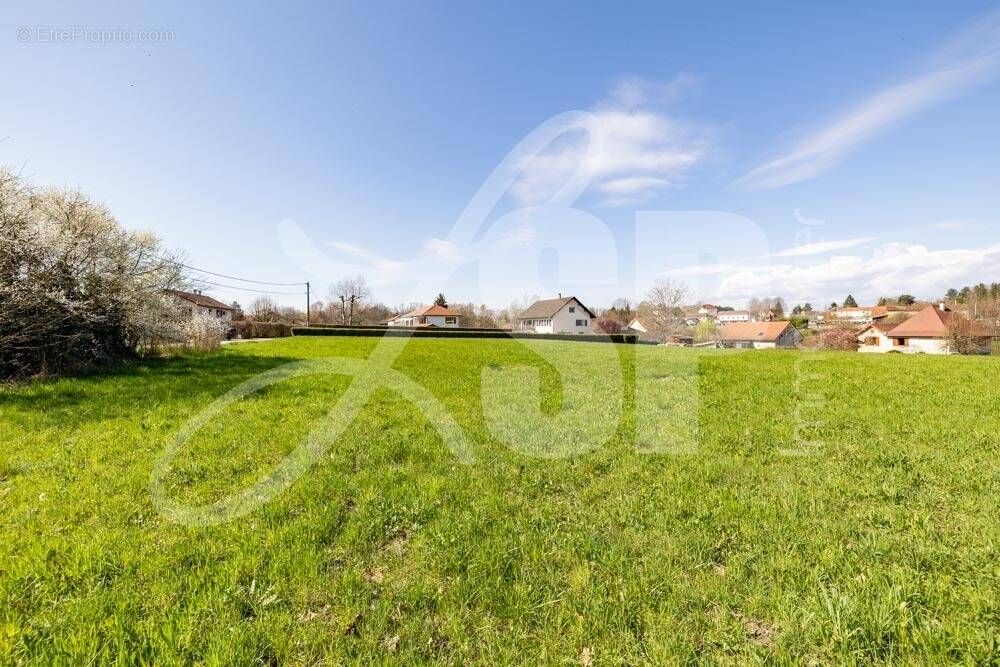 Terrain viabilisé (Lot 6) - Terrain à SAINT-JEAN-D'AVELANNE