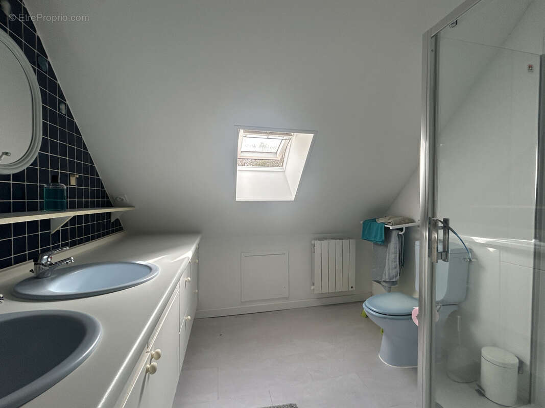 Maison habitable de suite avec carport, cave, parc, étang - photo 12