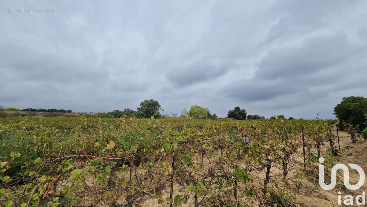 Photo 6 - Terrain à LEDENON