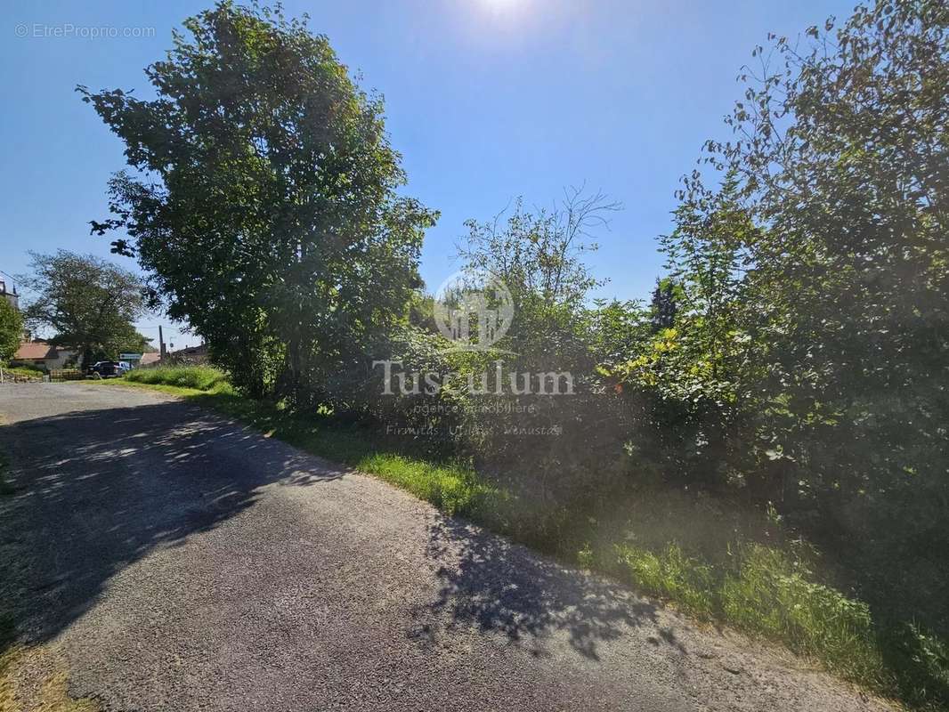 Terrain à REMOIVILLE