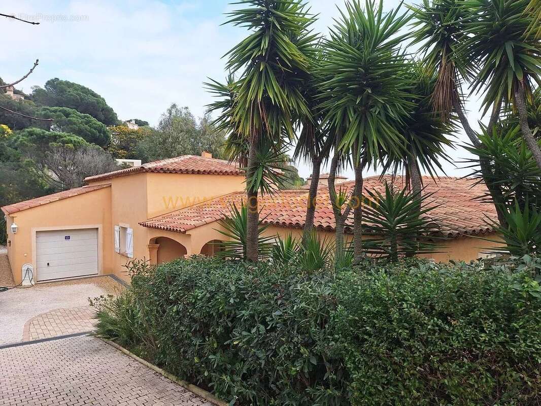 Maison à ROQUEBRUNE-SUR-ARGENS