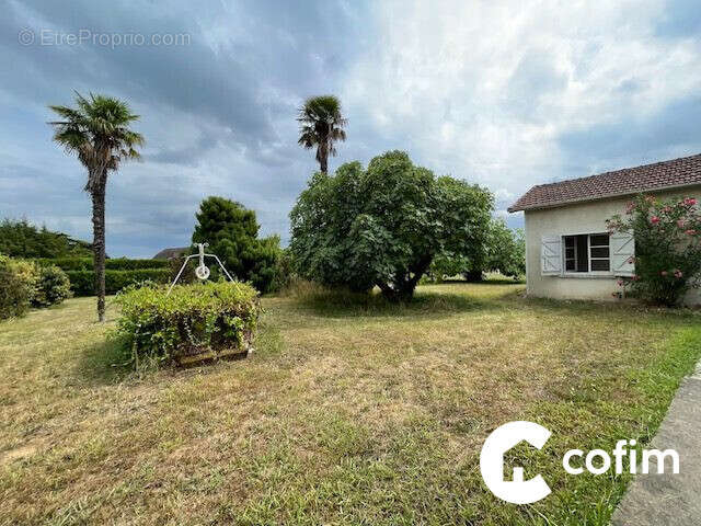 Maison 150 m² à Theze  - photo 5