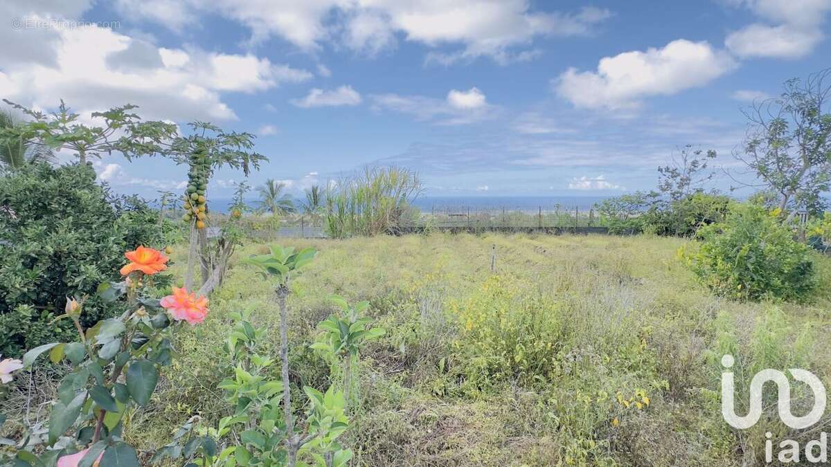 Photo 3 - Maison à LE TAMPON