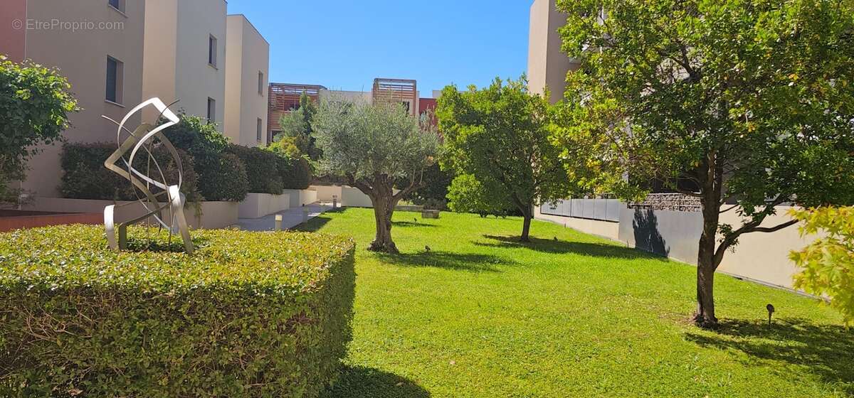 SAINT JEAN DE VEDAS (34) F3 avec grande terrasse et parking en sous-sol - photo 14