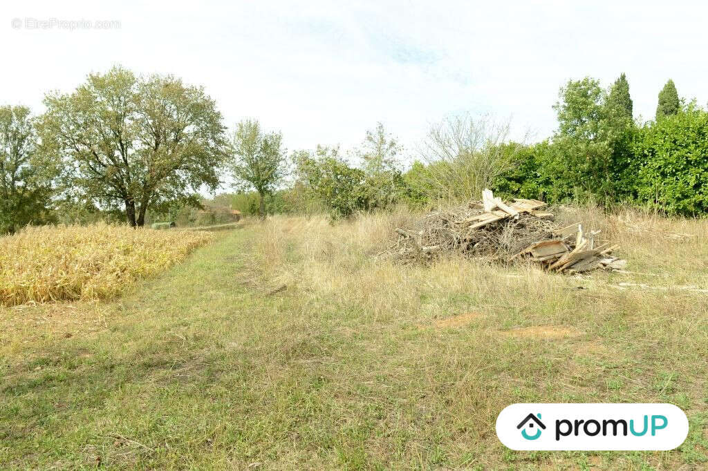Terrain à FLORESSAS
