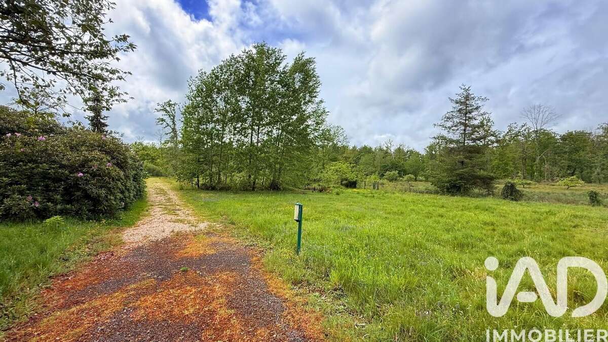Maison 385 m² à Clemont  - photo 8