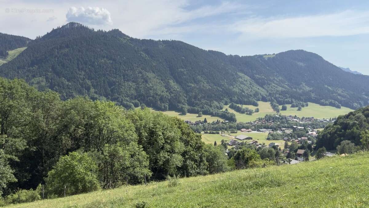 Terrain constructible BERNEX - Certificat d'urbanisme obtenu - photo 4
