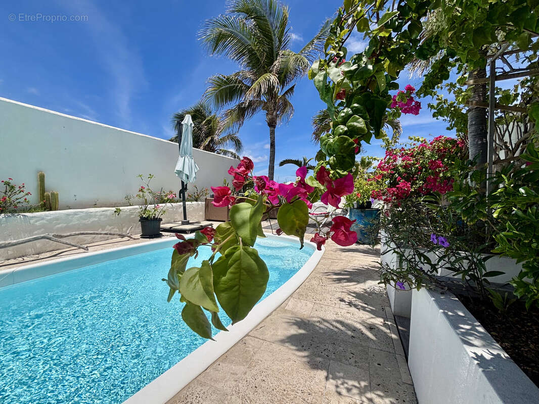 Villa 2 chambres avec vue mer & piscine privative   oyster pond - photo 3