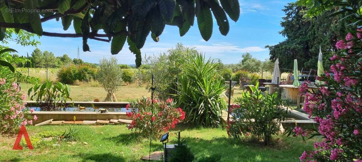 À VENDRE  Superbe maison de maître au cur des vignes à Jonquières (Hérault) - photo 5