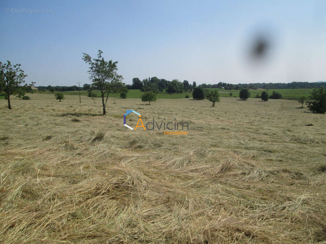 Terrain à LA BRUYERE