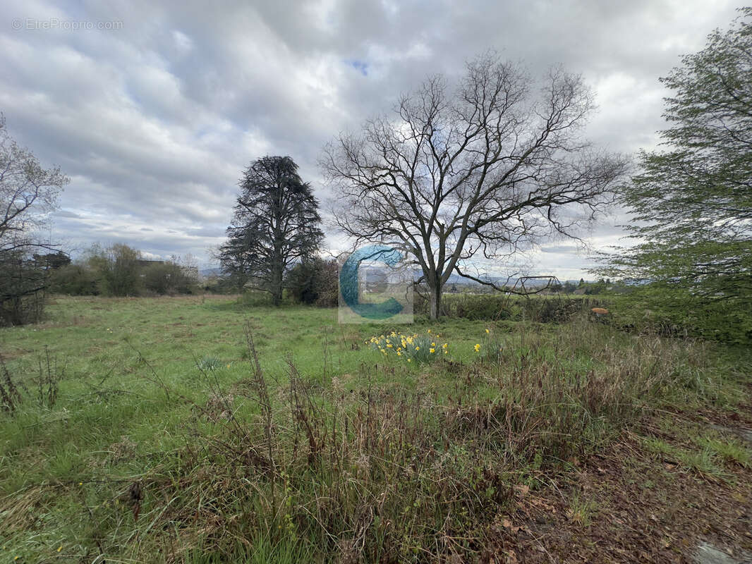 Terrain à PREVESSIN-MOENS