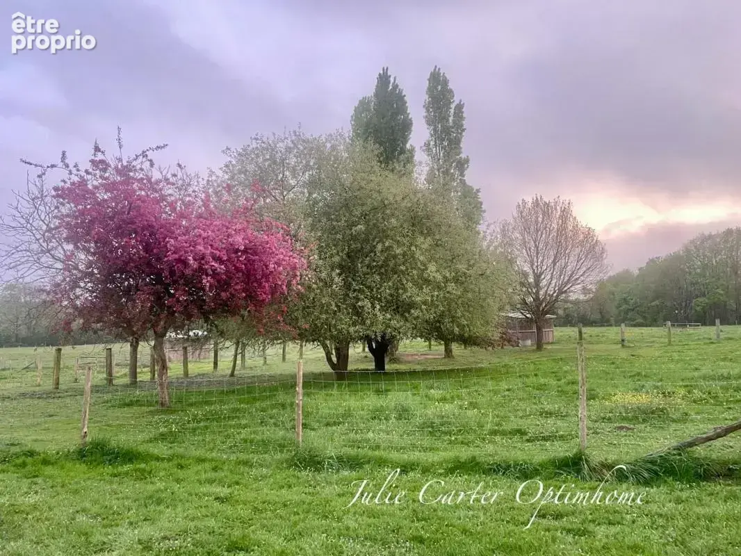 Propriété équestre  (72) - photo 15