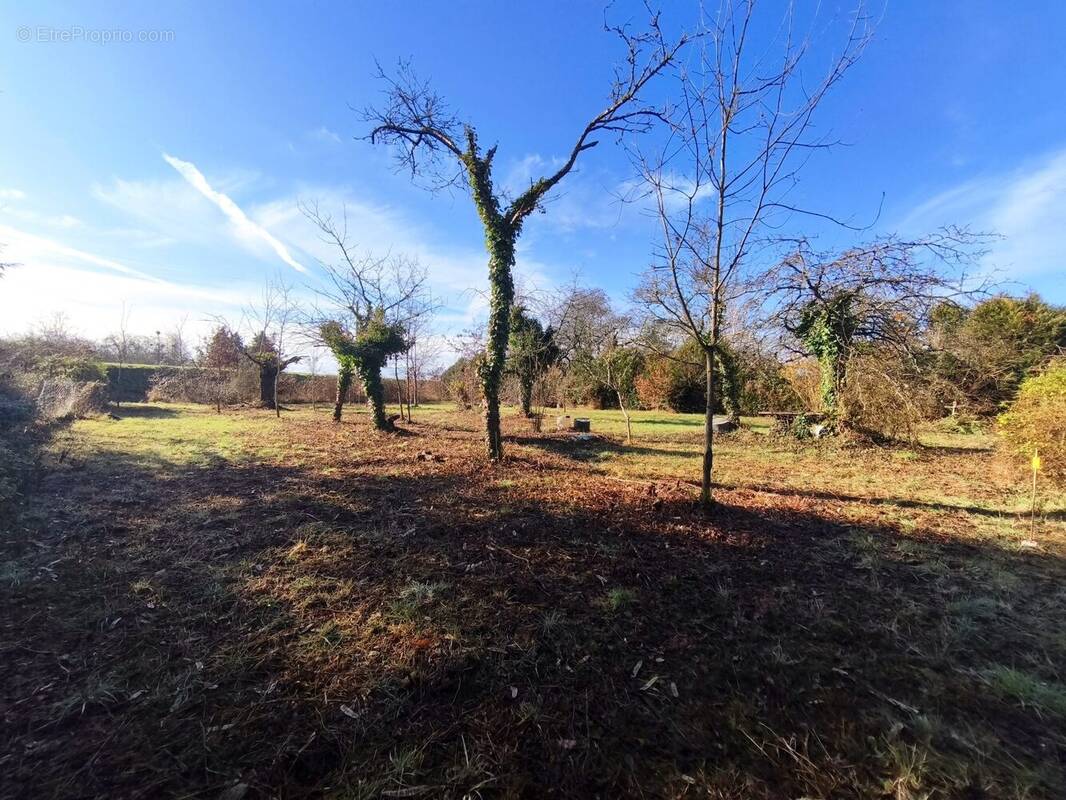 Terrain à JARGEAU