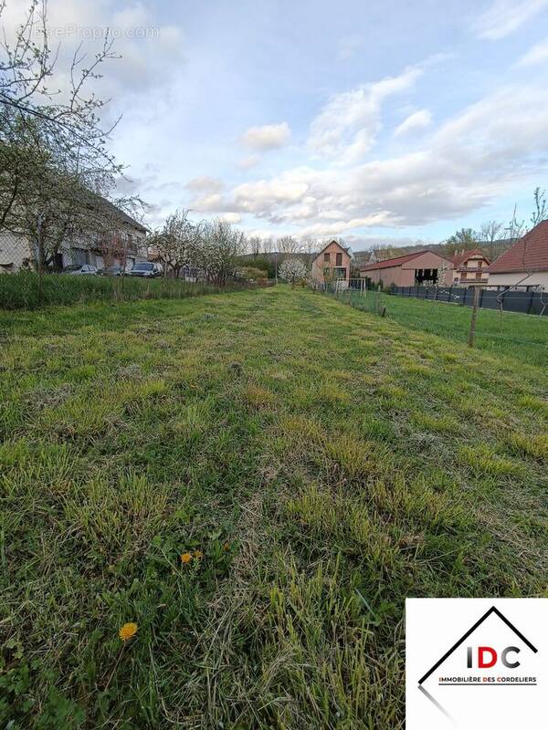 Terrain à WASSELONNE