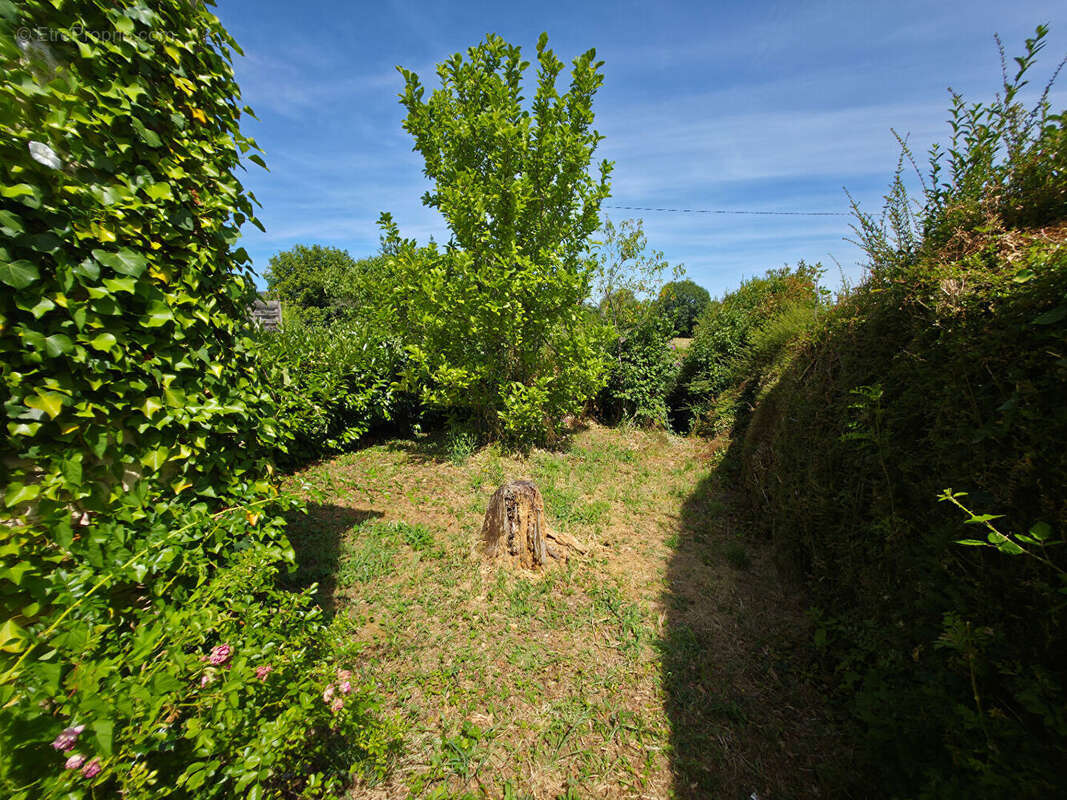 Maison de ville - photo 3