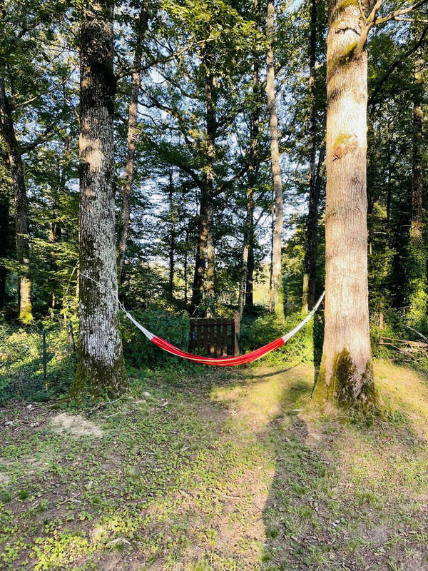 Maison à BAZOCHES-SUR-LE-BETZ