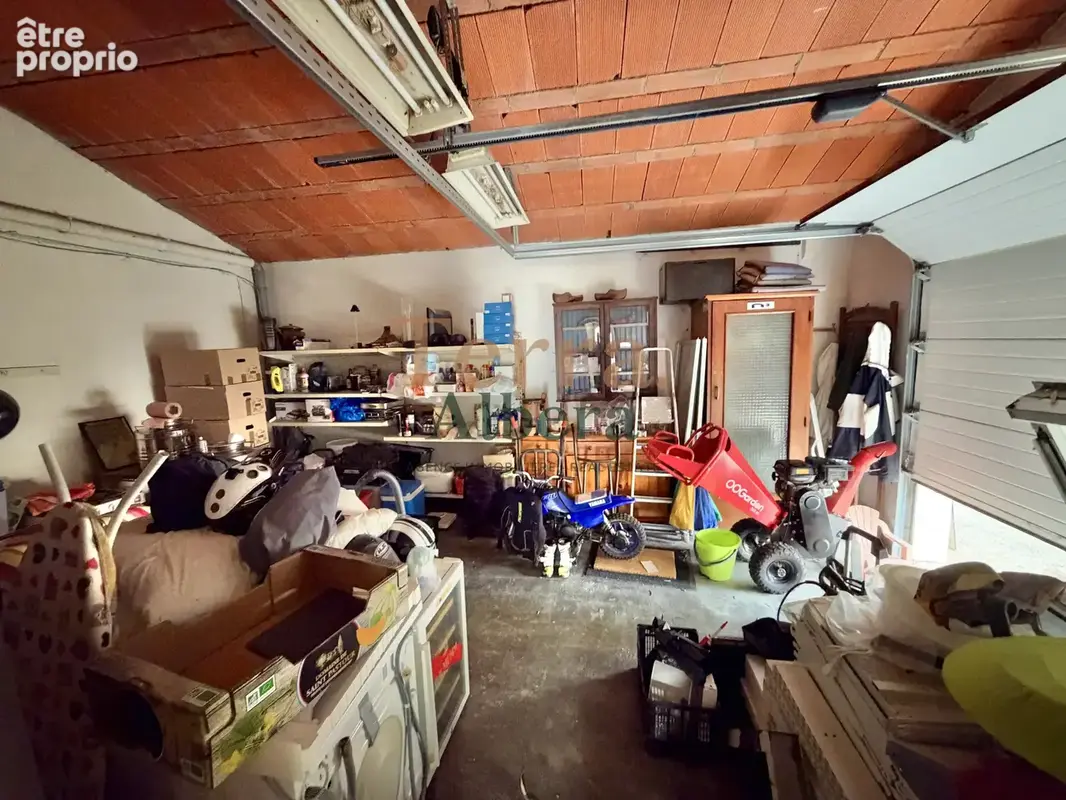 Le Boulou — Propriété au calme, oliveraie et accès rivière - photo 15