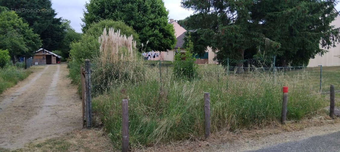 Terrain à LES BORDES