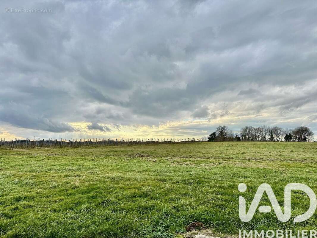 Maison 191 m² à Faleyras  - photo 4
