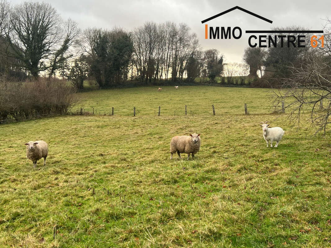 Maison à LA FERTE-MACE