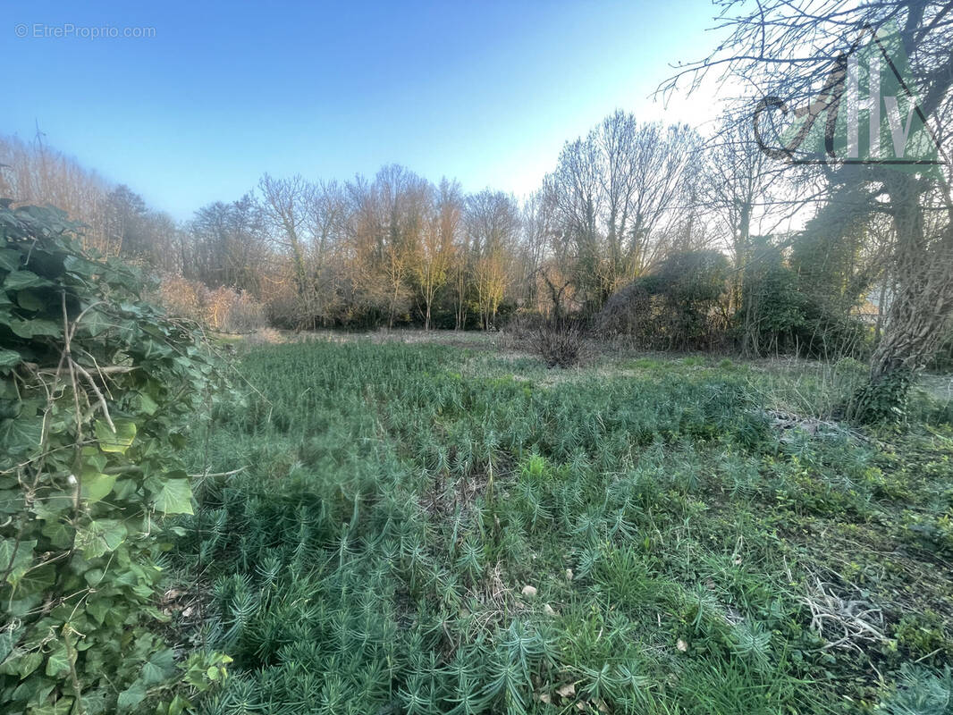 Terrain à EVERLY